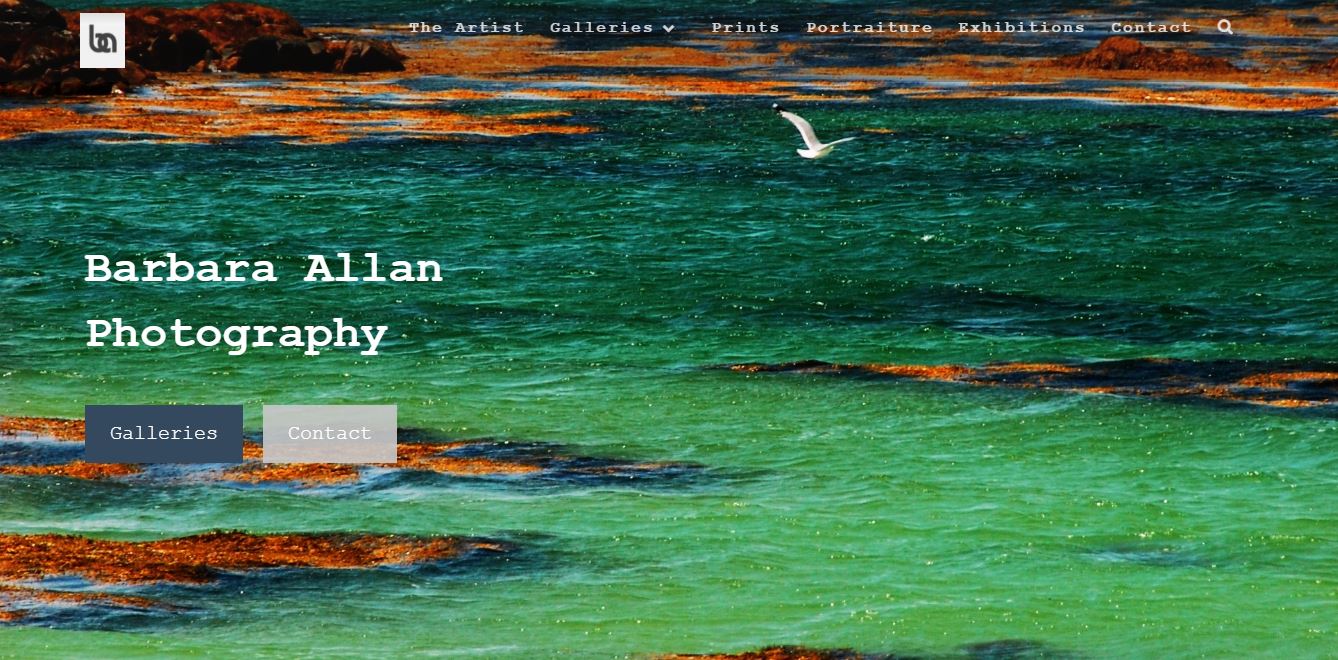 Barbara Allan Photography